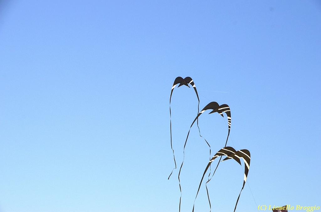 32 FESTIVAL CERVIA 2012 - 024.jpg